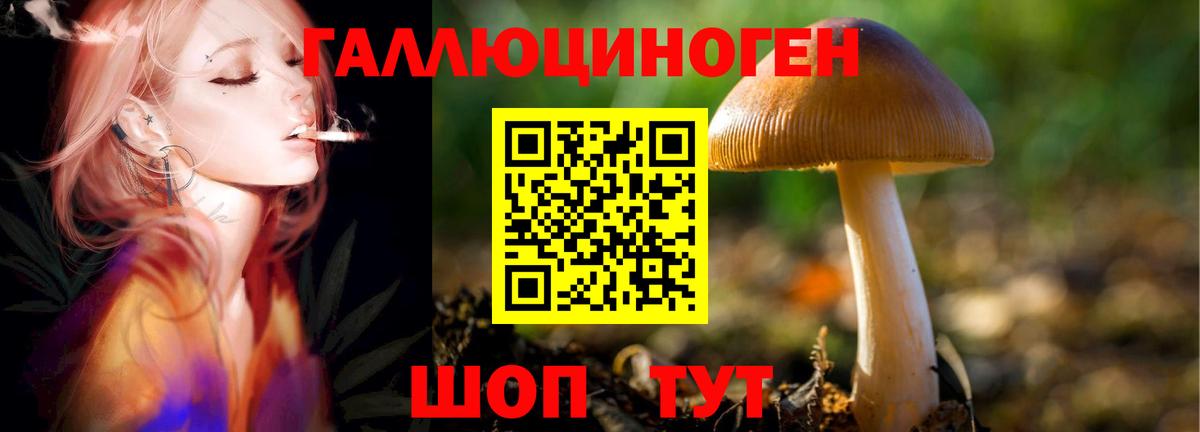 Галлюциногенные грибы Magic Shrooms Ижевск